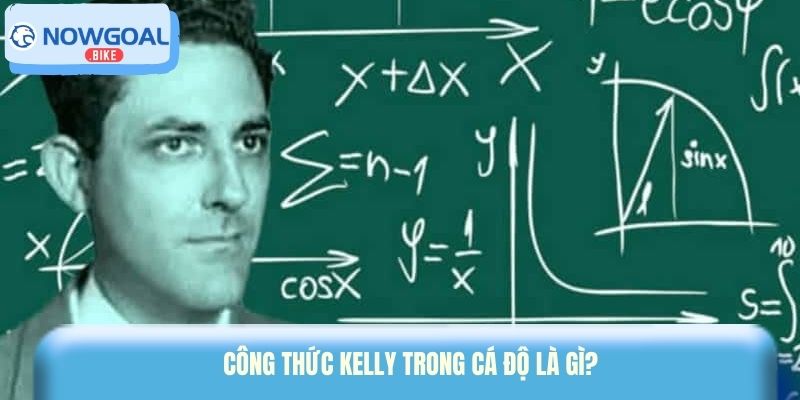 Công Thức Kelly trong cá độ là gì?