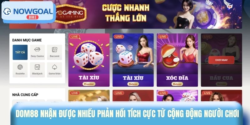 Dom88 nhận được nhiều phản hồi tích cực từ cộng động người chơi