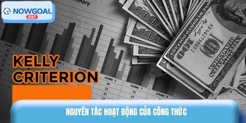 Nguyên tắc hoạt động của công thức
