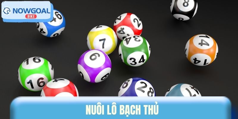 Nuôi lô bạch thủ